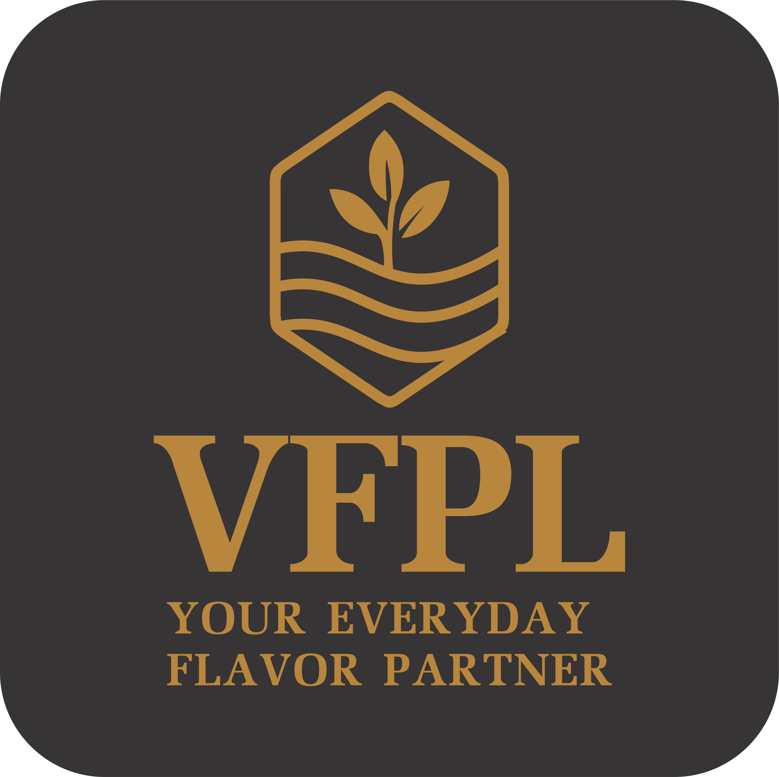 Vinsark Foods Pvt Ltd