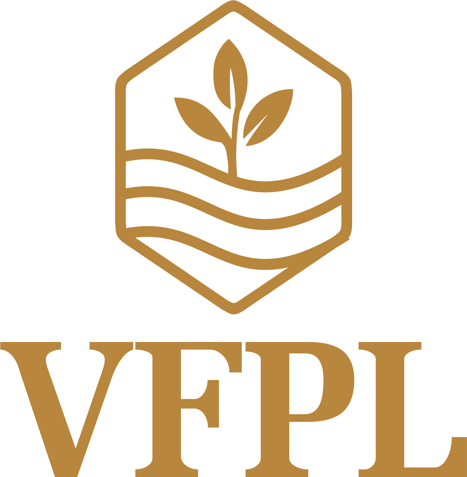 Vinsark Foods Pvt Ltd